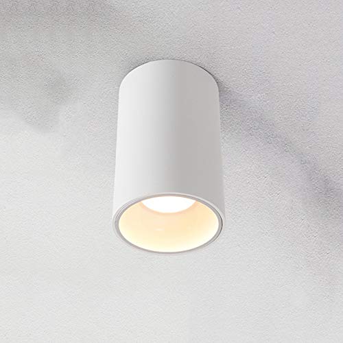 GANGEV Downlight LED Plafonnier Ouverture Libre Couloir Allée Porche Lumière Plafond Fond Nordique Mur Plafond Plafonnier Réglage Multi Angle Projecteur LED M-INI (Color : 5V, Size : 7.5CM)
