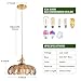 Shenmoyl Pendant Light with Amber Scindapsus Glass Lmapshade, Brass Vintage Pendant Light Adjustable Hanging Light for Kitchen Island Dining Room Hallway