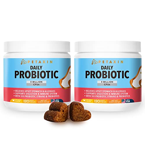Petaxin Probiotics for Dogs - 6 Strains with Prebiotics - Supports Digestive and Immune System – Relief for Diarrhea, Bad Breath, Allergies, Gas, Constipation, Hot Spots - Made in USA - 240 Chews