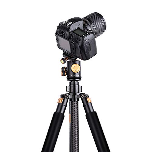 PQXOER Kamera Stativ Kamera tragbares Stativ Kohlefaser Stativ Kugelkopf und Ersatz 1/4"Schnellwechselplatte für die Reise für DSLR Canon Nikon Sony Kamera schwarz (Q968C) Dreibein-Stative – Bild 3