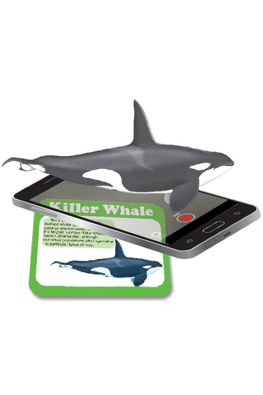 sea Animals Toys for Kids -Fish Toy Card Game Augmented Reality Toys for Kids Pack of 5 Card (B0BS19H3H8) Amazon Price History, Amazon Price Tracker