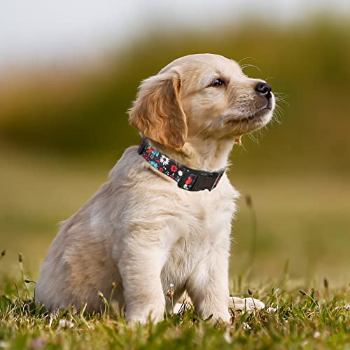 HEELE Hundehalsband, Hunde Halsband für Welpen Kleine Mittlere Große Hunde, Gemustertes Hundehalsbänder Verstellbares, Komfort, Robustem HundeHalsband, Heißrot, XS