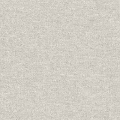 Rasch Papier peint intissé 452013 de la collection Kalahari - Gris clair - Structure textile - 10,05 m x 53 cm (L x l)