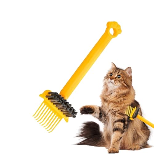 wAuVN[i[AwAuVN[jON[i[c[A|[^uNCbNN[jOwAuV[o[[L ƒTp