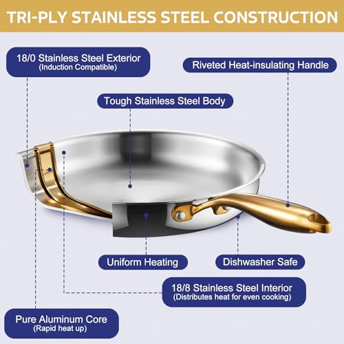 Image of Triple Ply Stainless Steel Pots and Pans Set, EWFEN 12 Piece Induction Cookware Set, Oven Dishwasher Safe | Frying Pans, Saucepans, Saute Pan & Stock Pot, PFOA Free Kitchen Skillet, Gold