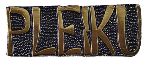 PLEIKU LAPEL PIN OR HAT PIN - Size 1-1/8