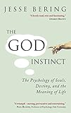 The God Instinct: The Psychology of Souls, Destiny and the Meaning of Life by Jesse Bering (14-Feb-2013) Paperback
