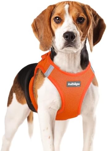 rabbitgoo Hundegeschirr Kleine Hunde, Step-in Weiches Mesh, Orange | Einfach anzulegen, Atmungsaktiv & Reflektierend, Ausbruchsicher mit Sicherheitsverschluss für Mittlere Hunde Ga