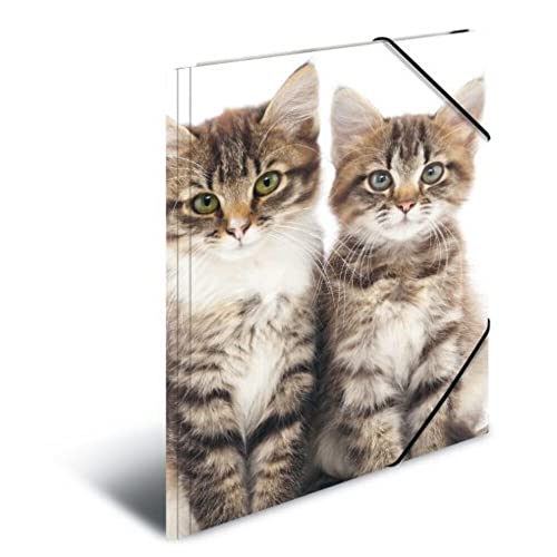 HERMA 7138 Carpeta de dibujo Animales con motivo Gatos, A4, plástico resistente, con impresión interior, carpeta de 1 palmo