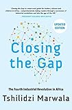 Closing the Gap: The Fourth Industrial Revolution in Africa