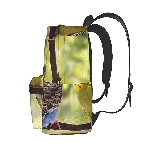 Sac à dos perruches bleu et vert cabine pour éviter la soute - 3