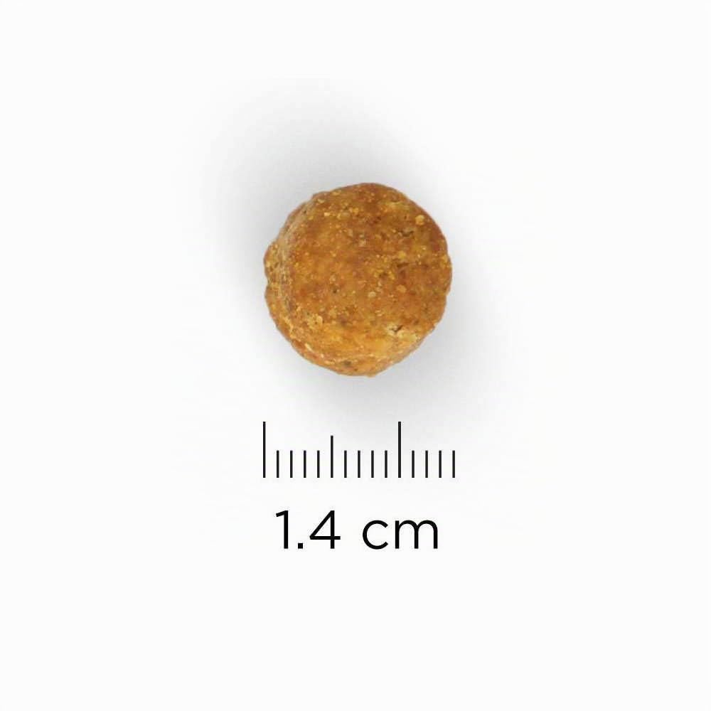 Hill`s Science Plan Alimento con Sabor a Pollo para Perros Maduro - 12 kg