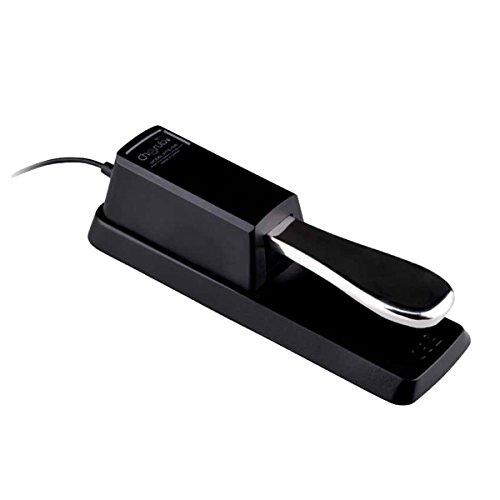 Havana WTB-005 Sustain Pedal