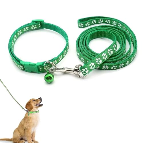 Hundehalsband und Leine, Halsband und Leine für kleine Hunde, Hundehalsbänder, hundehalsband, Bequeme verstellbares Hundehalsband, Hundehalsband und Leine Set, Welpenhalsband,Grün
