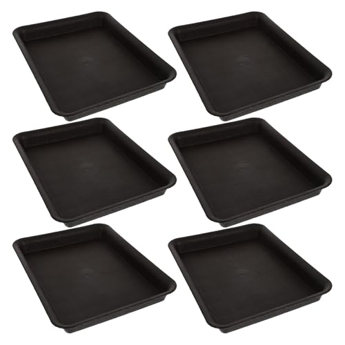 GETAJGHSD 6`vX`bNڐ? ϏՌϐtprAؔ󂯎M ϗtA~͂̏ʕی _J