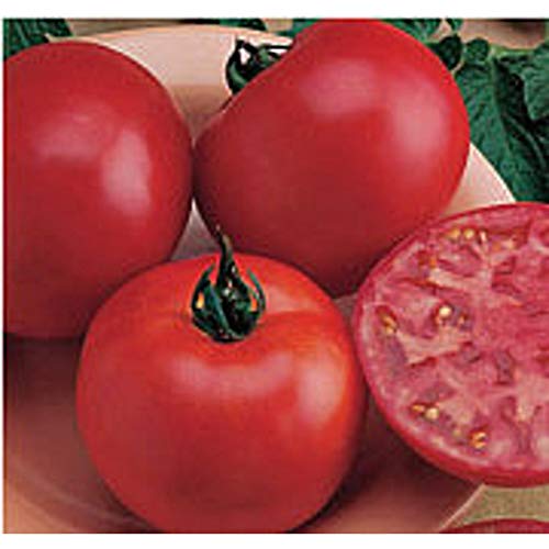 Burpee Big Boy Tomato Seeds (25+ Seeds)(More Heirloom, Non GMO, Vegetable, Fruit, Herb, Flower...