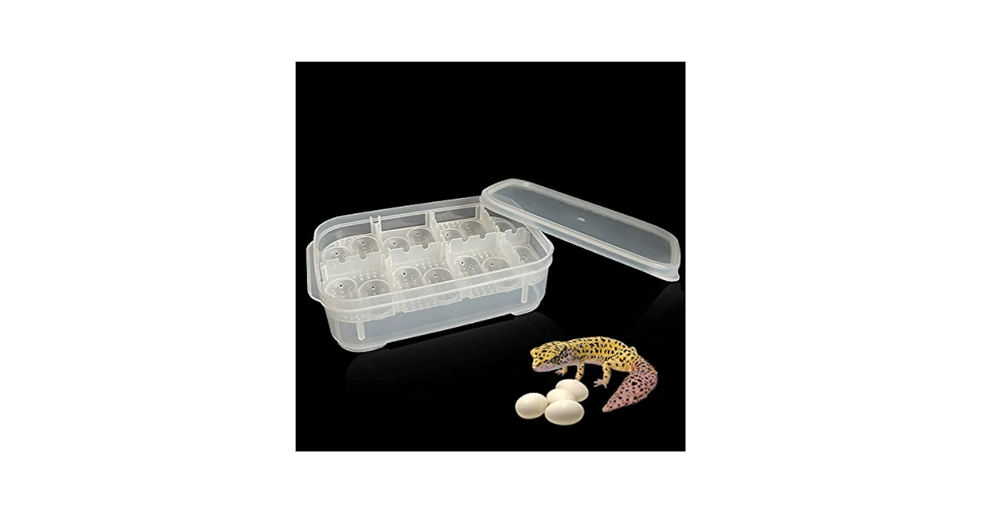 eggtrat 14box Amazon.com : GKPONSX 14 Grids Reptile Breeding Box, Egg