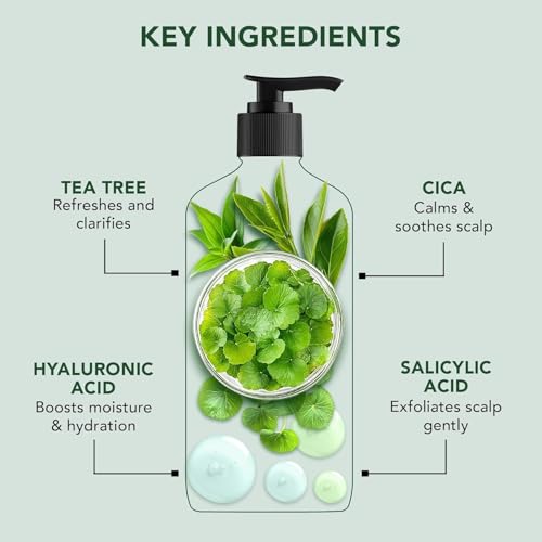 Image of Botanic Hearth Tea Tree Shampoo Infused With Cica, Hyaluronic Acid & Salicylic Acid | Clarifying Shampoo To Repair, Restore & Strengthen Hair | Paraben & Sulfate Free | For All Hair Types, 16 Fl Oz