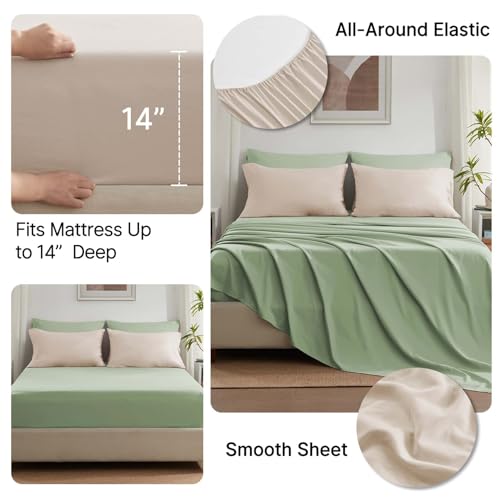 Anluoer Queen Comforter Set 7 Piece, Sage Green Bed in a Bag with Sheets, All Season Bedding Comforter Sets with 1 Comforter, 2 Pillow Shams, 2 Pillowcases, 1 Flat Sheet,1 Fitted Sheet