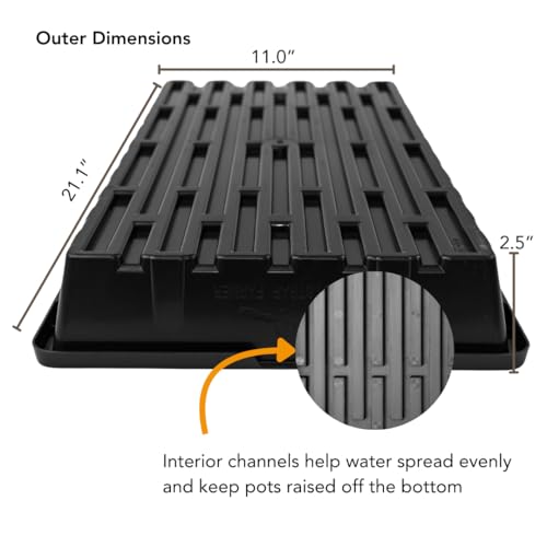 Bootstrap Farmer 1020 Trays - Extra Strength No Holes, 10 Pack, for Propagation Seed Starter, Plant Germination, Seedling Flat, Fodder, Microgreens - Image 5