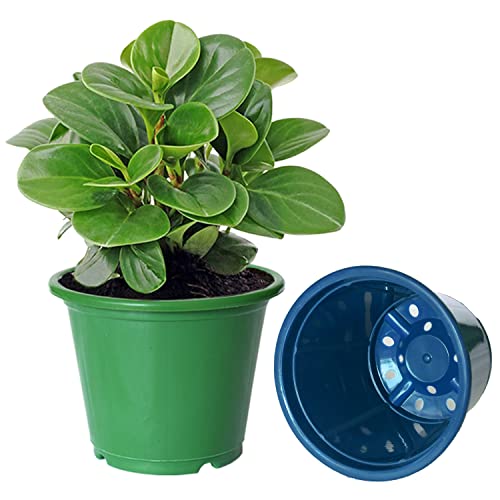 Image of Kuber Industries Durable Plastic Flower Pot|Gamla for Indoor Home Decor & Outdoor Balcony,Garden,6 inchx5 inch,Pack of 3 (Orange,Green,Blue)