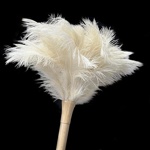 Image of 19.7 Inch Ostrich Feather Duster - Soft Dusting Brush for Home, Office, and Furniture Cleaning (Off White)