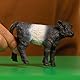 SCHLEICH 13969 Galloway Kalb, ab 3 Jahren, Farm World - Spielfigur, 3 x 8 x 6 cm