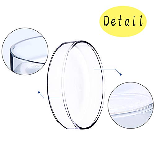 30 PCS 90 x 15 mm Sterile Plastic Petri Dishes with Lid,Bioresearch Sterile Petri Dish,Culture Dishes with Lids,Perfect Kit for Medical,Biological,and School Science Fair Projects Birthday Parties