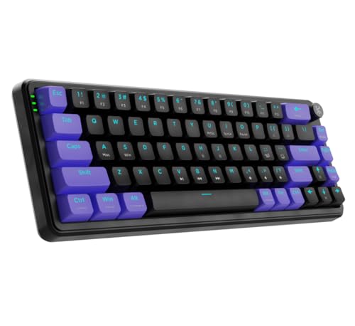 Kreo Hive 65 RGB Mechanical Gaming Keyboard | Pre-Lubed Switches, Anti-Ghosting, 5-Pin Hot-Swap | Wired 65% Keyboard with RGB Backlight & Detachable USB-C Cable (Black) view 1