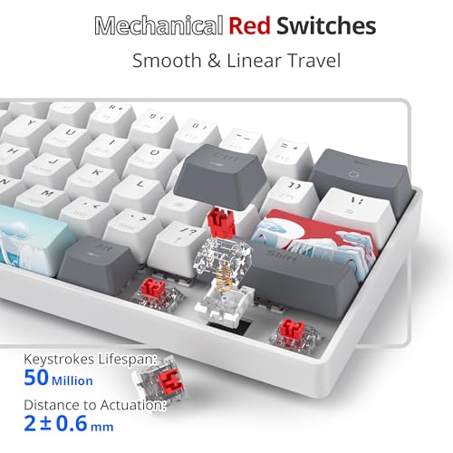 Image of Fogruaden 60% Percent Mechanical Keyboard RGB Gaming Keyboard 60 Percent, Ultra-Compact 61Keys Mini Wired Keyboard with Red Switch for Win /Mac PC Gamer(WhiteGrey, Red Switch)