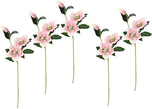 Flair Flower Christrose Helleborus - Rama de Cristiano Artificial (5 Unidades, Flores de Seda), diseño de Flores de Seda