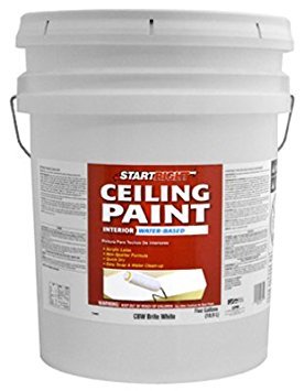 True Value CBW-5GL Start Right Brite White Flat Latex Ceiling Paint, 5-Gallon