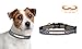 Rico Denver Football Broncos Reflective Football Safety Pet Dog Collar - Small