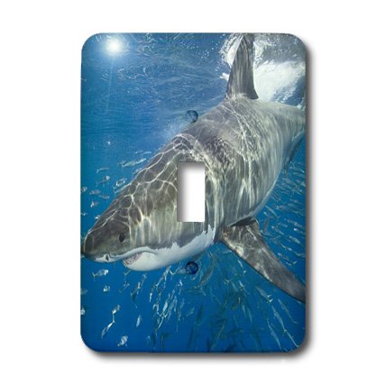 Interrupteur à baïonnette requin blanc 3dRose LSP 46321 1 pour décoration murale