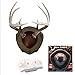 Mountain Mike's Reproductions Rack Plaque Antler Mounting Kit
