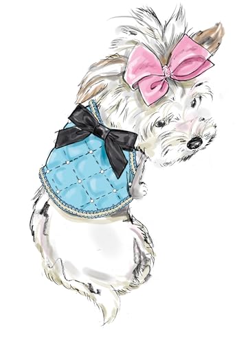 SIMPLICITY Schnittmuster SS9970A Hundemäntel A (XXS-XS-S-M)