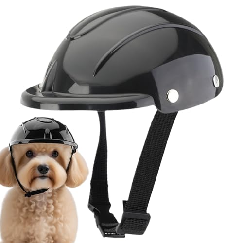 Cat Helmet - ^poCNE]ԈSwbg | SΉ h h qL  CfBO Lv U XN[^[ ] s AEghA ANeBreB