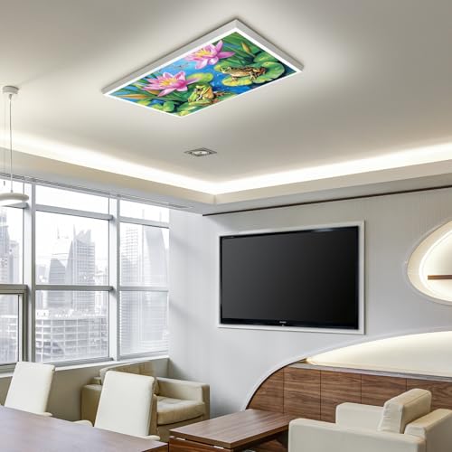 Image of 2ft x 4ft Fluorescent Light Cover Decorative Pond Frogs Lotus Ceiling Light Filters - Easy Setup for Classroom Office Hospitals Home Ceiling, Reduce Glare & Flicker