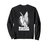 Hunting pintail birding birdwatching outdoor