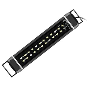 NICREW Luz LED Acuario, Bombilla LED Impermeable para Acuarios de Agua Dulce, LED Blanco y Azul, Lámpara LED para Acuarios 28-43 cm, 8 W