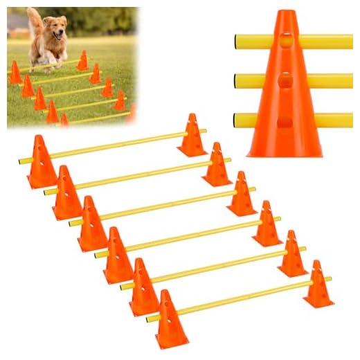 QWORK® Sports Steckhürdenset 12 Kegel + 6 Stangen Agility,23cm Höhe, 100cm Länge, Steckhürdenset für Koordinationstraining