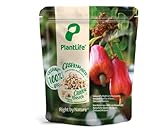 PlantLife Anacardos desmenuzados BÍO 1kg – anacardos naturales – crudos y sin tratar - 100% reciclable