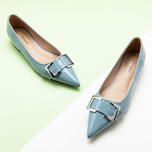 Image of C.Paravano Women Flats | Pointed Toe Shoes | Ballet Flats | Work Daily Wear