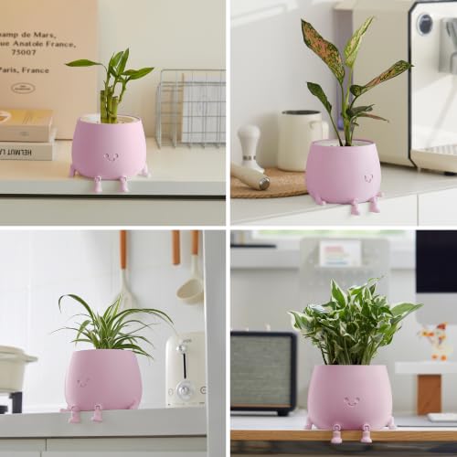 Image of TOPOLA 5.2 Inch Hydroponic Happy Face Planter with 3 Interchangeable Grow Baskets, Water Culture Pot for Pothos, Lucky Bamboo & Plant Propagation, Decorative Desktop Planter for Home & Office, Sakura