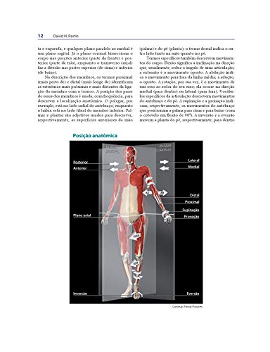 Bandagens Funcionais e Órteses Esportivas