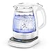 HAGOOGI 電気ケトル ガラス 1.0L LEDライト付き 二重構造 火傷防止 7段階温度調節/24時間保温/空焚き防止 ポット湯沸かし 小型 おしゃれ お手入れカンタン 紅茶 お茶 コーヒー…