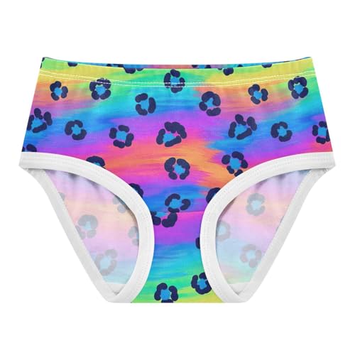 Joisal Rainbow Colors Leopard Toddler Underwear Floral 2t Cotton Panties Little Girl Funny Undies Kids Briefs
