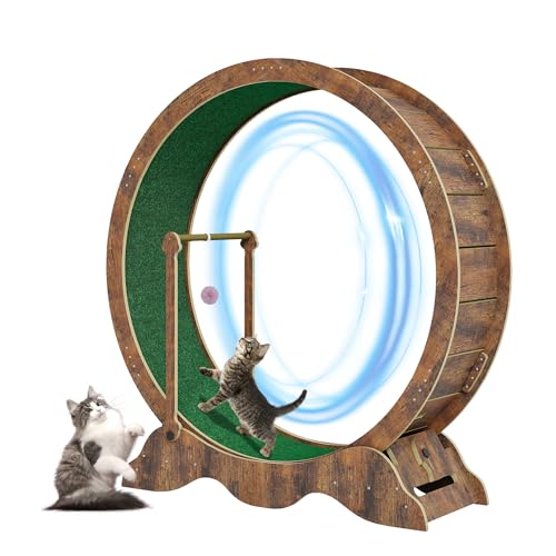 GarveeTech Katzenlaufrad 115cm für Indoor-Katzen - Laufband mit abnehmbarem Teppich, Sicherheitssperre und Spielball - Holzlaufrad für alle...