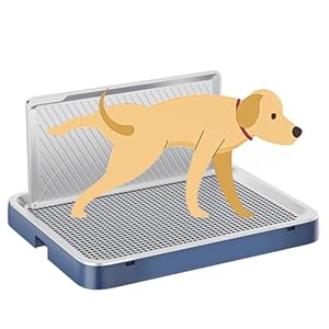 Indoor Dog Potty Tray with High Wall,25.59″X19.69″ Pee Pad Holder,Dogs Litter Box,Mesh Training Toilet for Puppy and Small Size Dog,Housebreaking Supplies, Pet Products (Blue)