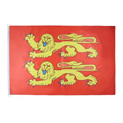 AZ FLAG - Drapeau Basse-Normandie Spécial Extérieur - 150x90 cm - Drapeau Bas-Normand - France En Maille Bloquée Avec Anneaux Plastiques Intégrés - 170g